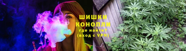 сатива Верея