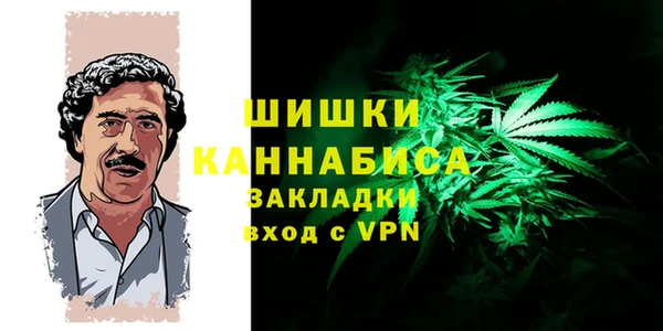 сатива Верея