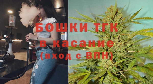 сатива Верея
