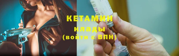 сатива Верея