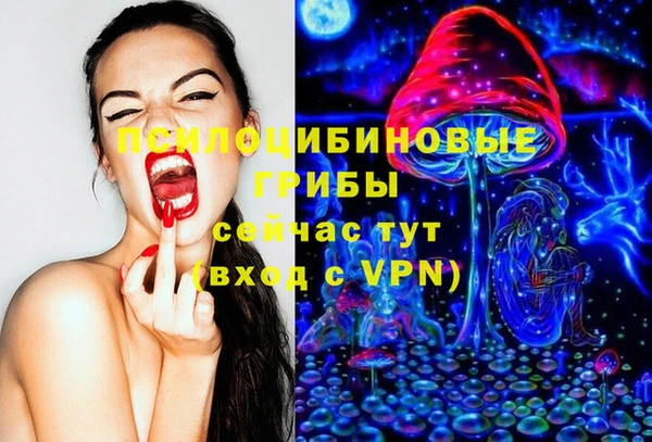 сатива Верея