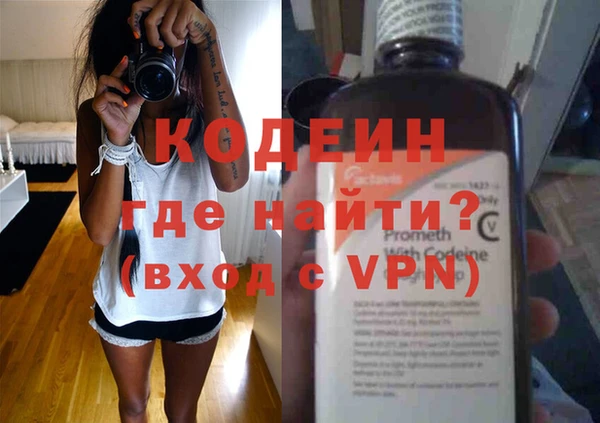 сатива Верея