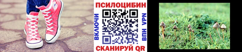 Псилоцибиновые грибы прущие грибы  kraken зеркало  Архангельск 